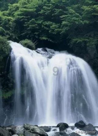了解每日财神方位平台,探索知识星球的精彩世界